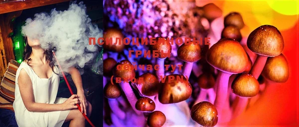стаф Липки