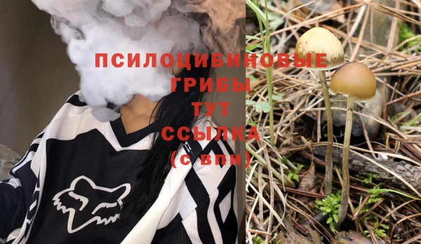 тгк Лабытнанги