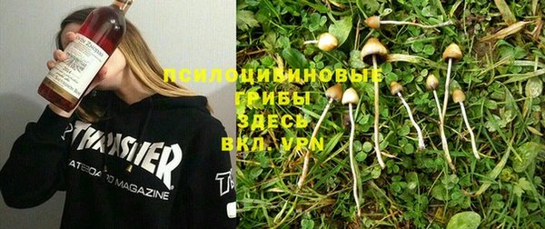 метадон Ладушкин