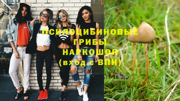 метадон Ладушкин