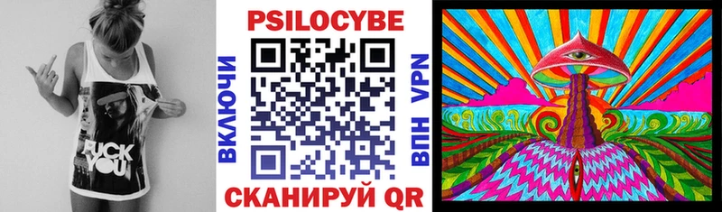 Галлюциногенные грибы Psilocybe Купить Карачаевск