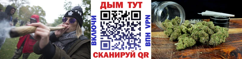 Купить  Карачаевск  Шишки марихуана сатива 